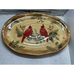 Cardinal 17" Oval Serving Platter Plate by Maxcera Honey Cardinal